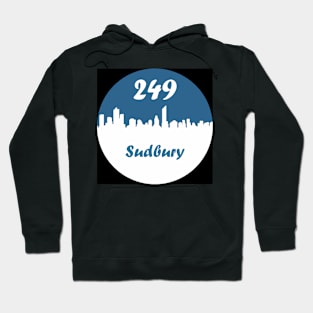 249 Hoodie